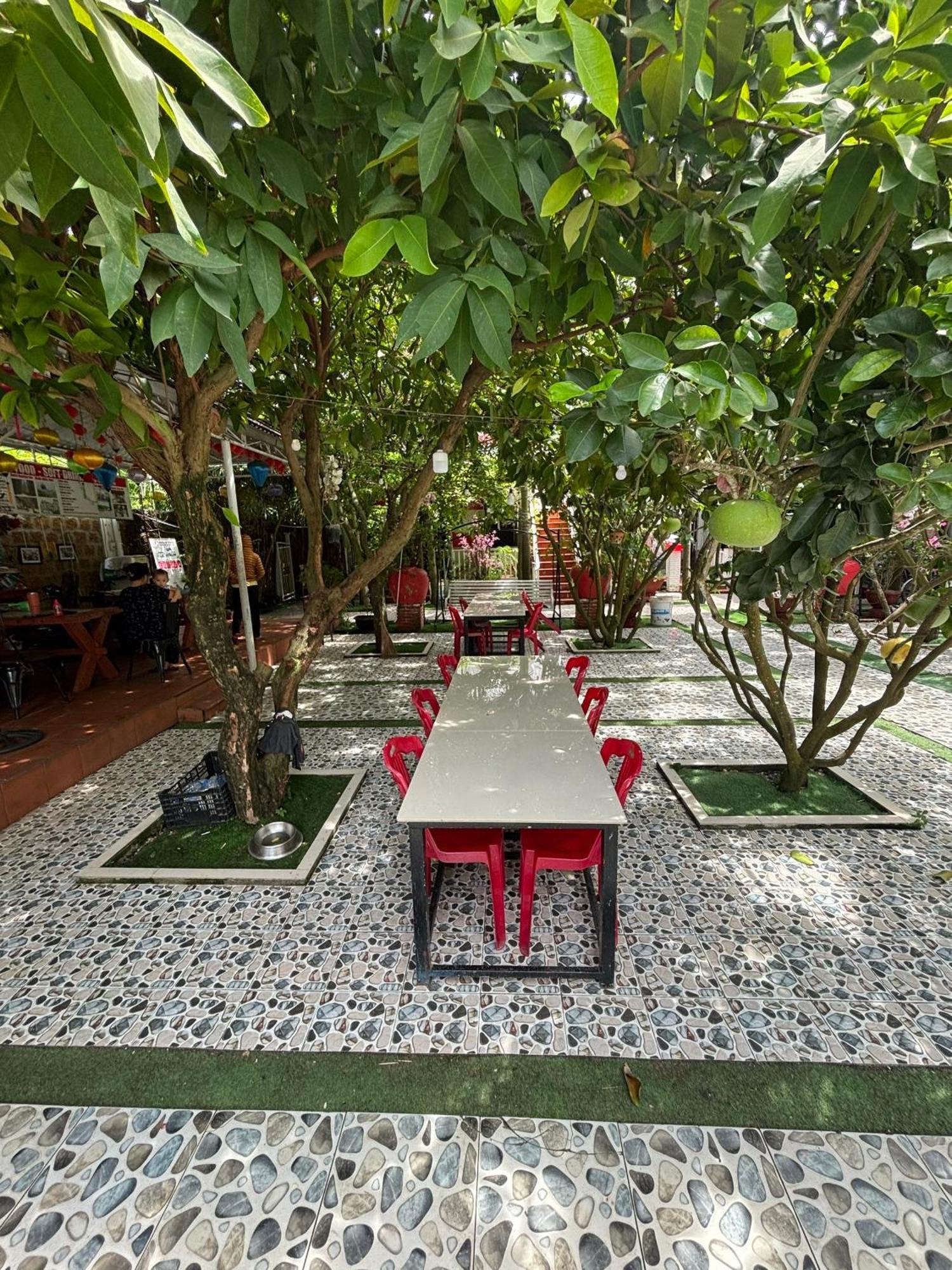 Red House Homestay - Villa Hoi An Exterior foto